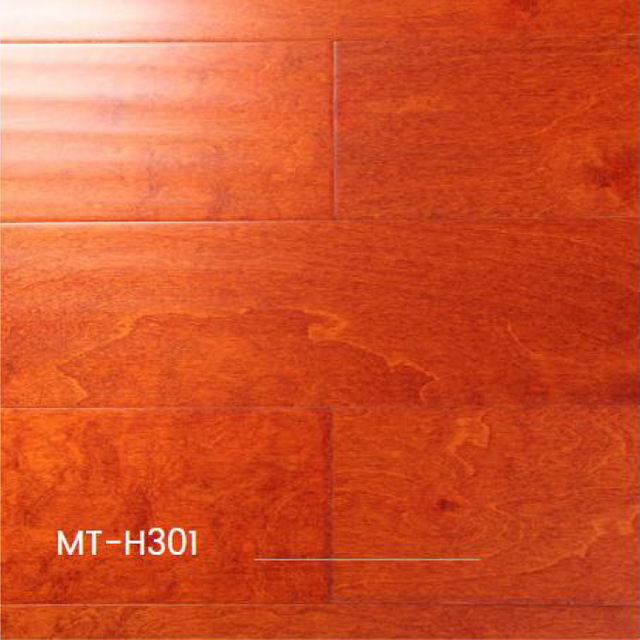 mt-h301