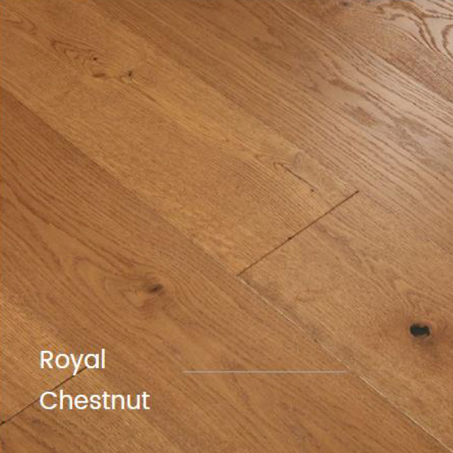 royal-chestnut