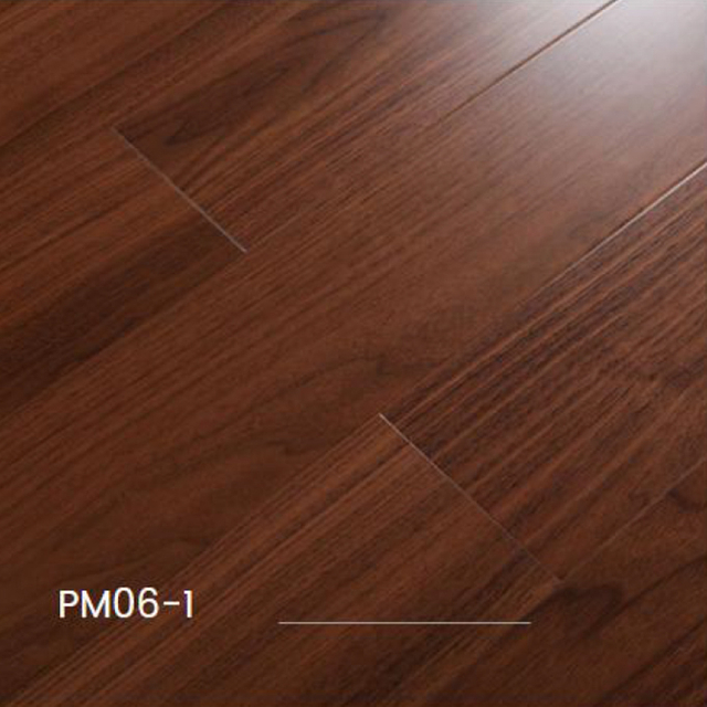 pm06-1