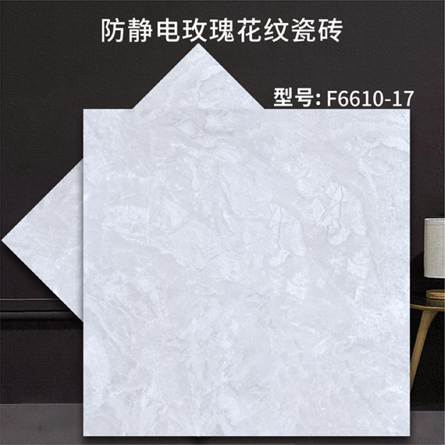 F6610-17