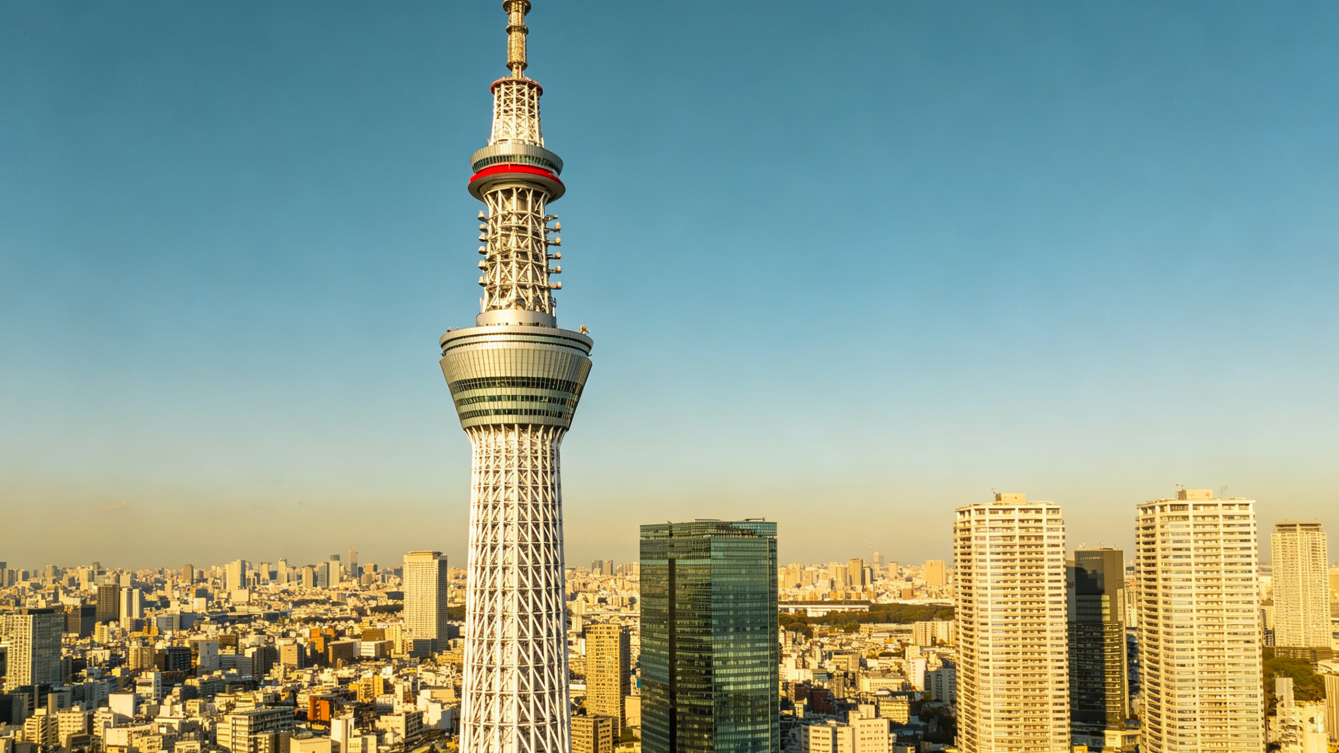 in Japan2026 cover.jpg